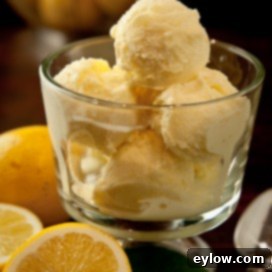 Homemade Lemon Custard Ice Cream in a bowl, ready to be served, garnished with fresh lemon zest.