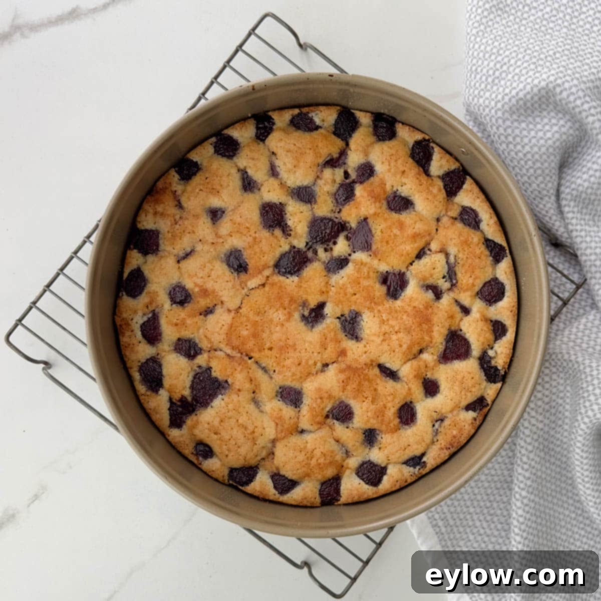 Baked golden cherry cake on a cooling rack.