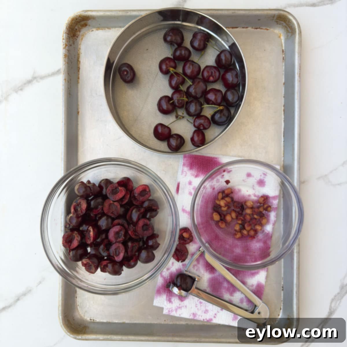 Pitting dark red cherries on a sheet pan to contain the juices. 