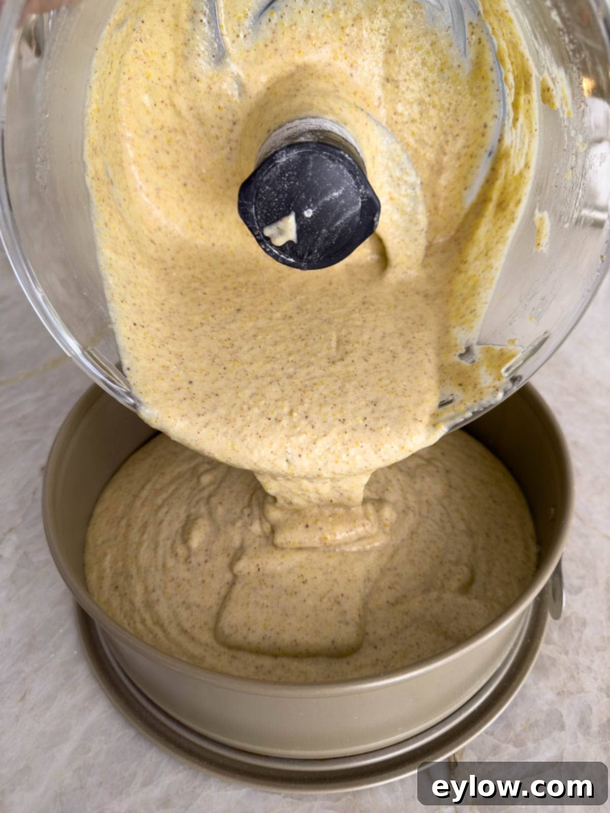 Pouring olive oil almond cake batter from the workbowl into the springform pan for baking.