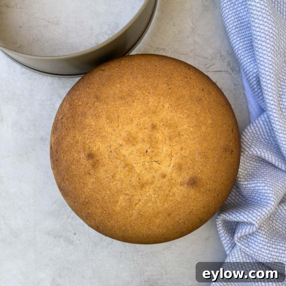 Lemon olive oil cake, baked and out of the oven, a lovely golden brown.