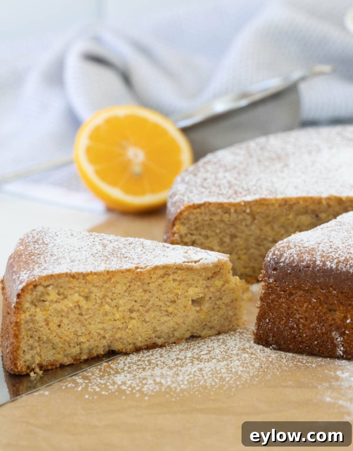 The olive oil cake on the counter, a piece cut out dusted with powdered sugar. 