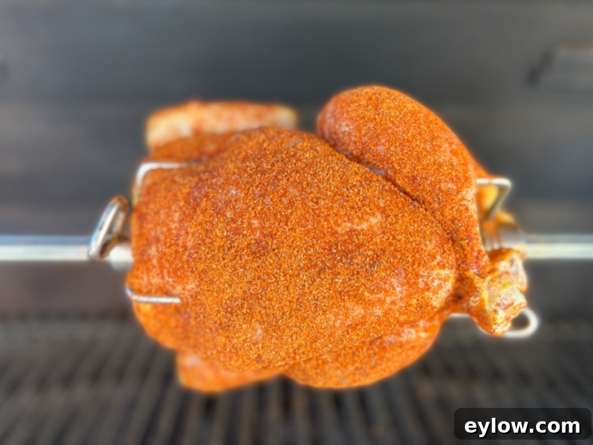 Rotisserie chicken coated in dry rub on the grill spit.