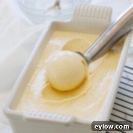 Aromatic Vanilla Bean Bliss 13 A scoop of cream vanilla bean ice cream on a silver ice cream scooper.