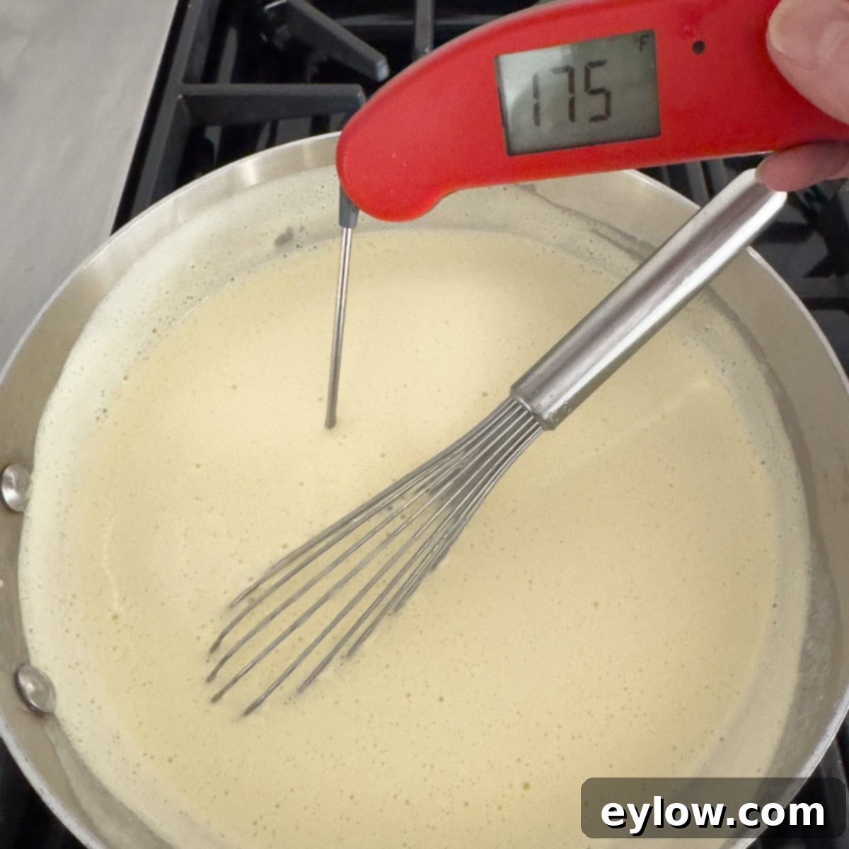 Aromatic Vanilla Bean Bliss 8 Cooked base for vanilla bean ice cream with thermometer at 175°