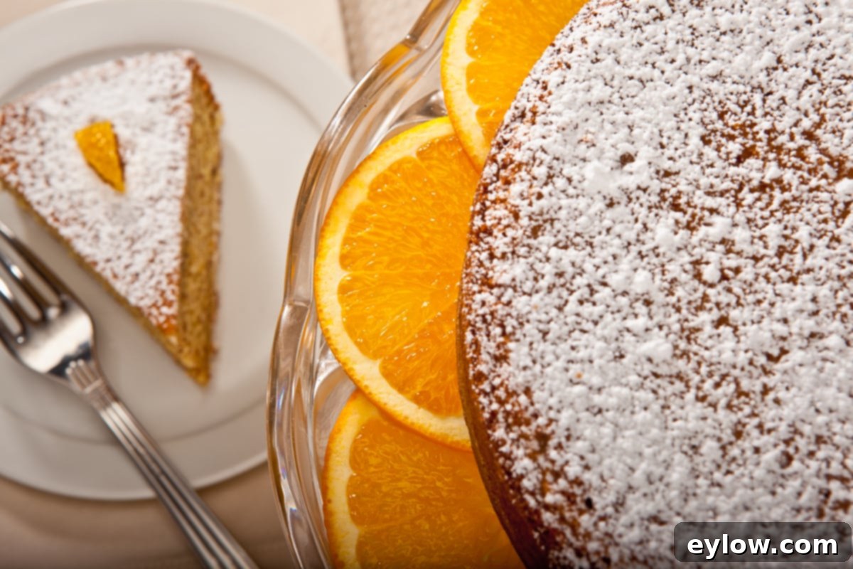 A beautifully decorated single layer orange almond cake with fresh orange slices, emphasizing its gluten-free nature