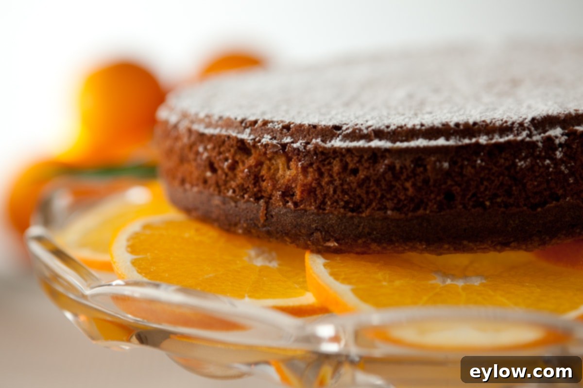 Close-up side view of a sliced orange almond cake, showcasing its tender crumb and inviting texture, perfect for gluten-free diets