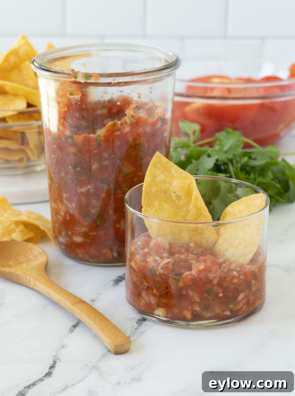 A tall jar of homemade salsa with tomatoes, onions, peppers with chips.