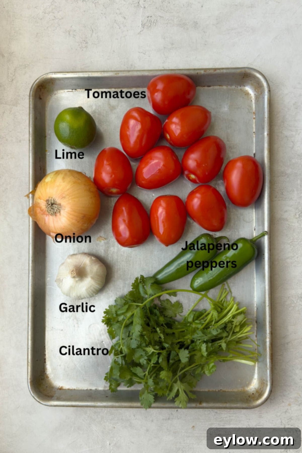 Tomatoes, onion, garlic and ingredients for smoked salsa on a silver tray.
