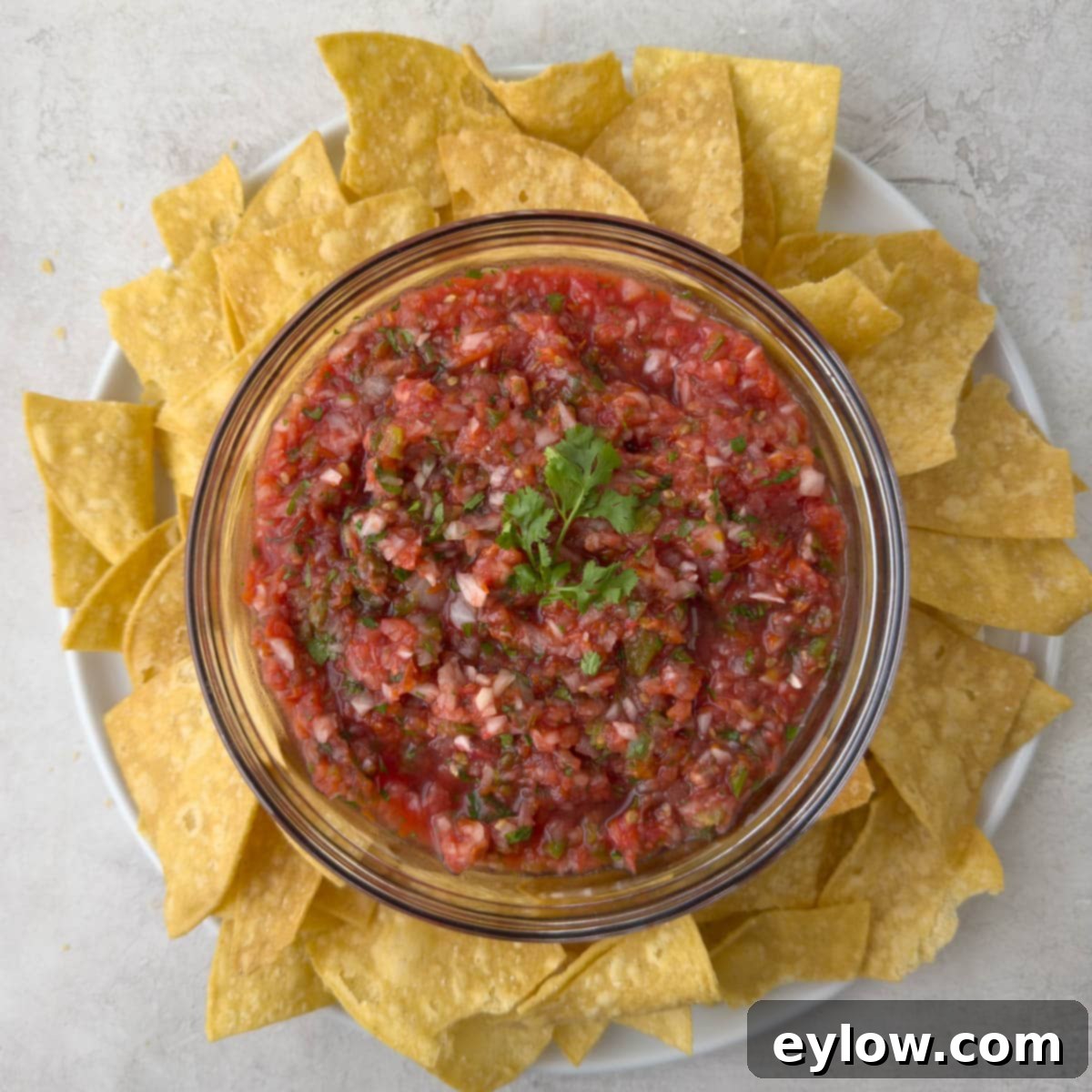 A glass bowl of smoked red tomato salsa surrounded by corn chips in a round plate.