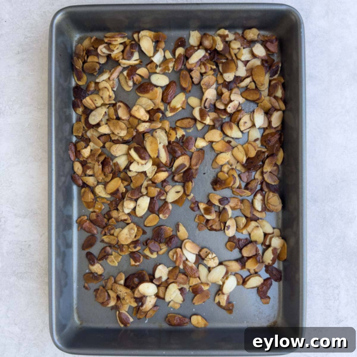 Toasted almonds cooling on a sheet pan.