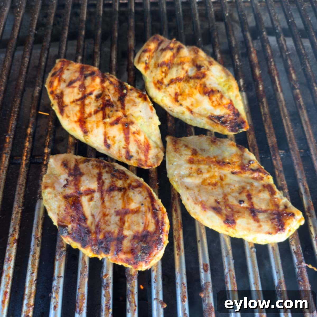 Emperor's Chicken Pasta Salad 9 Grilled chicken breasts on the grill, with nice grill marks.