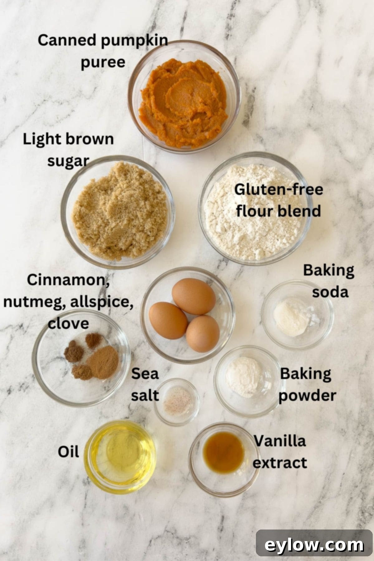 A collection of fresh ingredients for pumpkin bread meticulously arranged in small prep bowls on a pristine marble counter, highlighting the quality and readiness for baking.