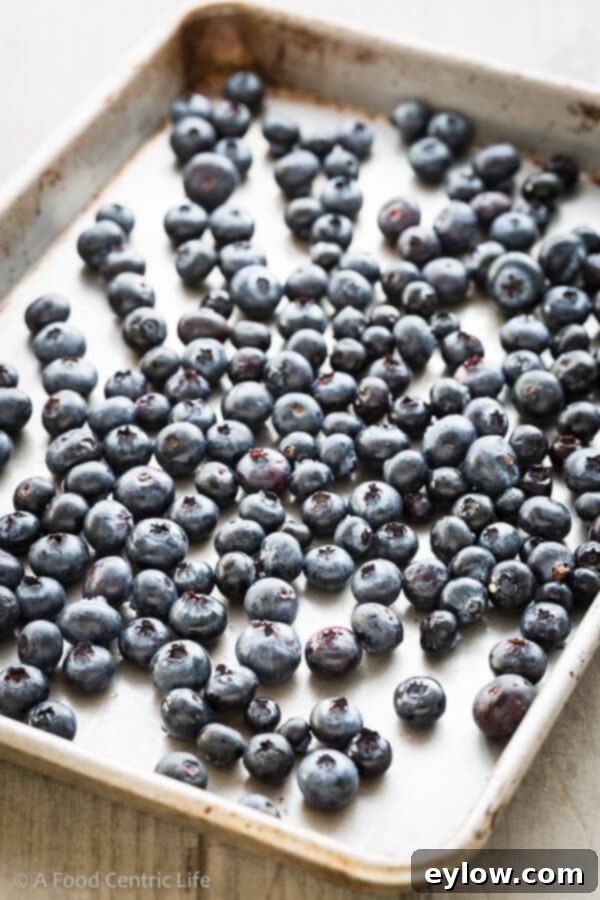 Fresh organic blueberries spread on a tray, highlighting their vibrant color and plump texture.