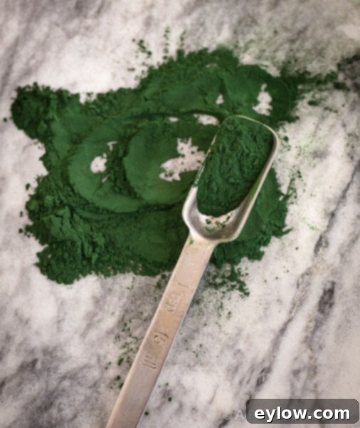 A scoop of vibrant green spirulina powder, showcasing its rich color and fine texture.