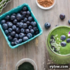Delicious Blueberry Spinach Green Smoothie for a healthy breakfast.