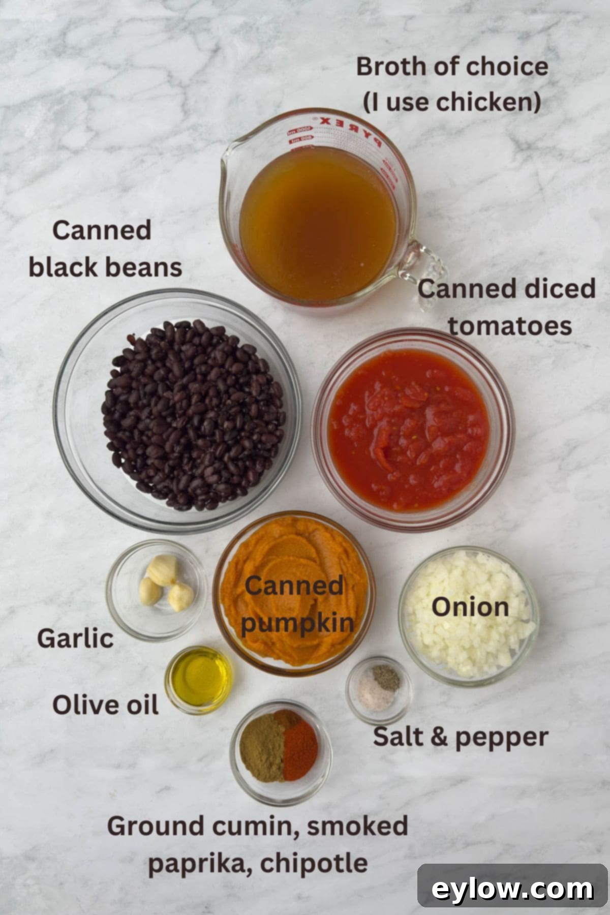 Velvety Black Bean Pumpkin Harvest Soup 3 Ingredients for black bean soup with pumpkin and spices.