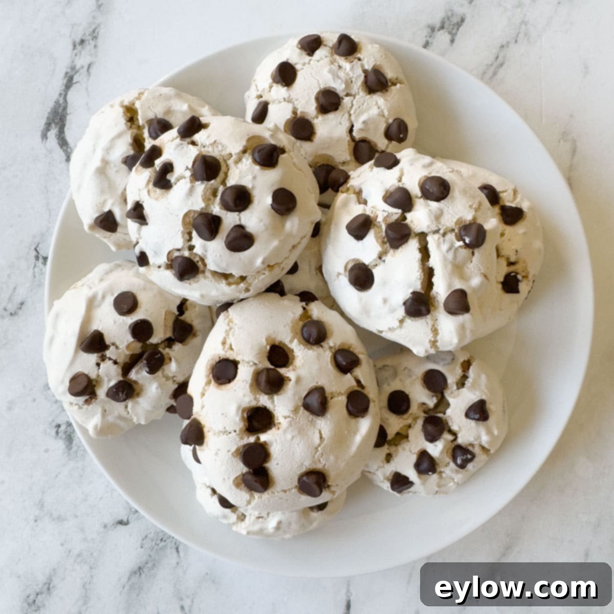 Close-up of chocolate chip meringue cookies featuring extra chocolate chips sprinkled on top before baking, arranged on a white plate.