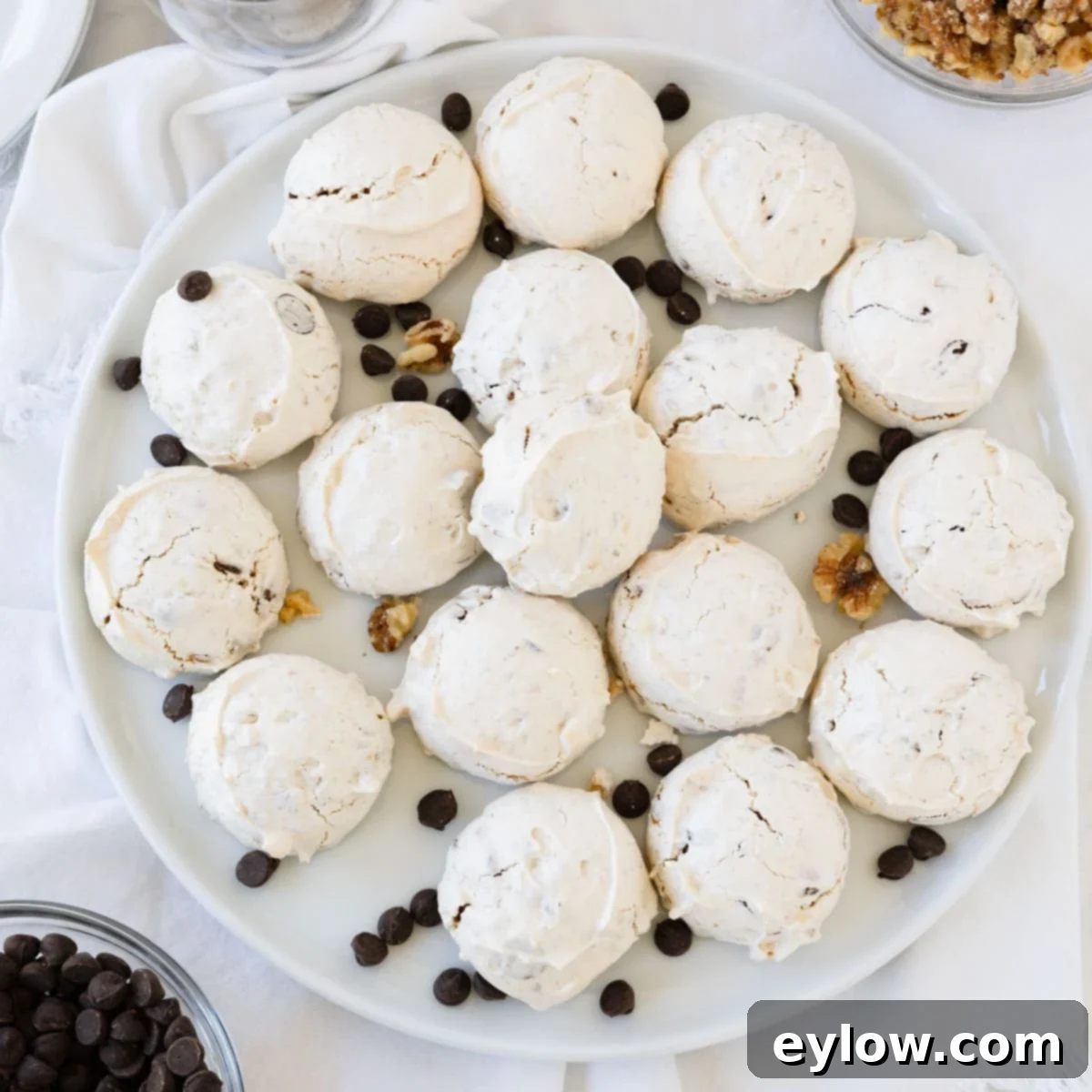 A round white plate beautifully piled high with golden-brown chocolate chip meringue cookies.