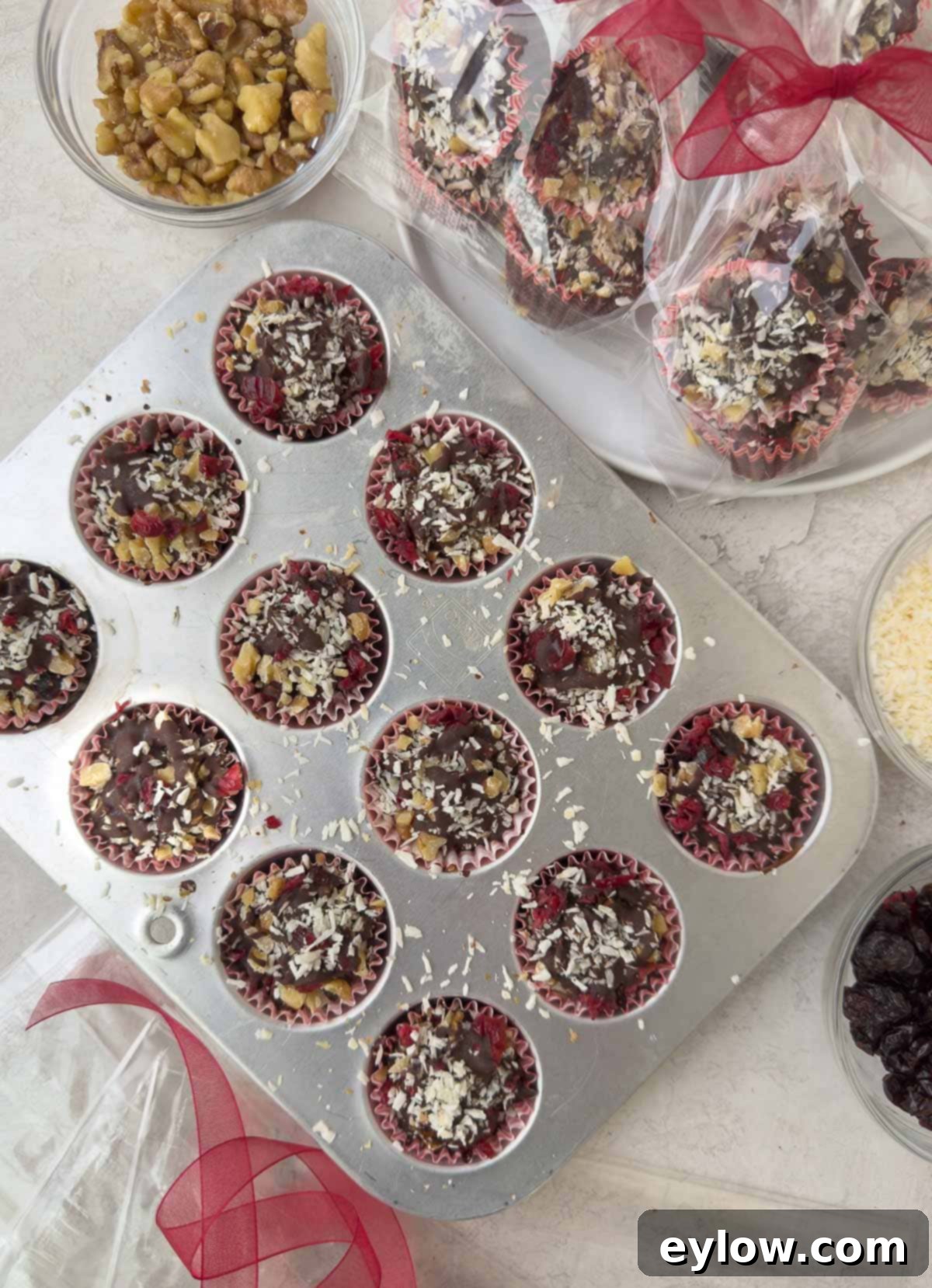 A mini muffin tin filled with dark chocolate treats, known as chocolate bark bites, featuring visible cranberries, walnuts, and coconut.