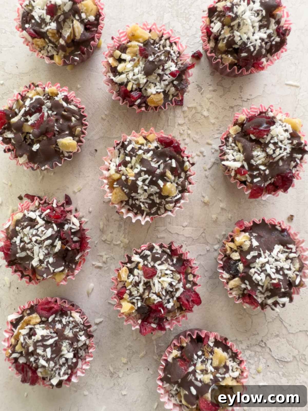 A display of dark chocolate bark bites with cranberries, walnuts, and coconut on a counter top, highlighting their delicious texture and ingredients.