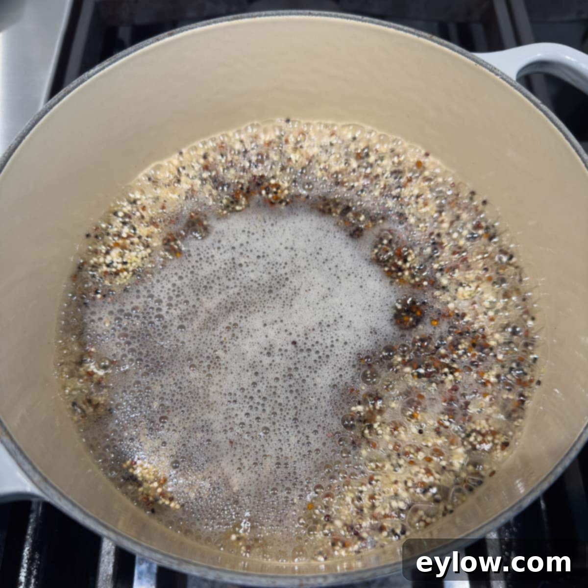 Cooking quinoa in a pot on the stovetop.