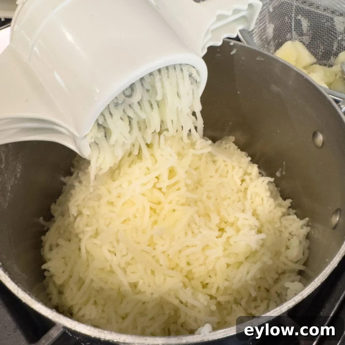 Mashed potatoes being extruded from a potato ricer into a pot.