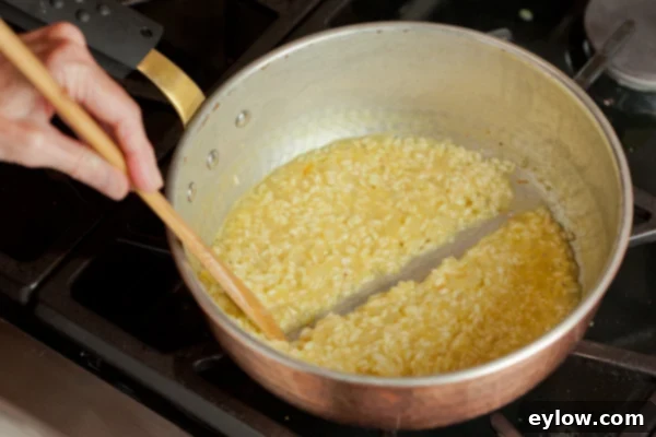 Cooking risotto in a pan, showing when to add more broth. 