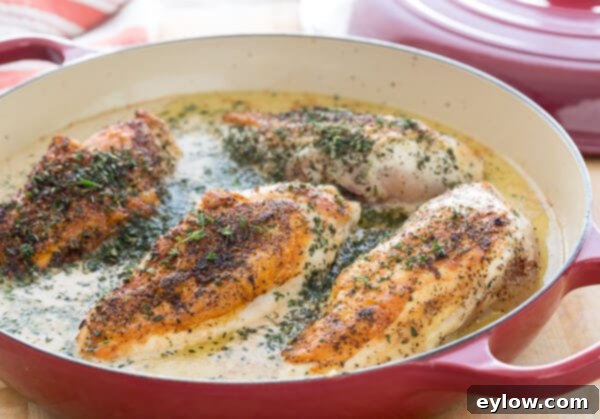 Braised Chicken with gravy in a wide shallow pan.