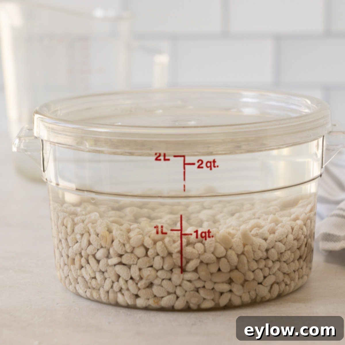 Rinsed navy beans soaking in water with a lid in a clear container.