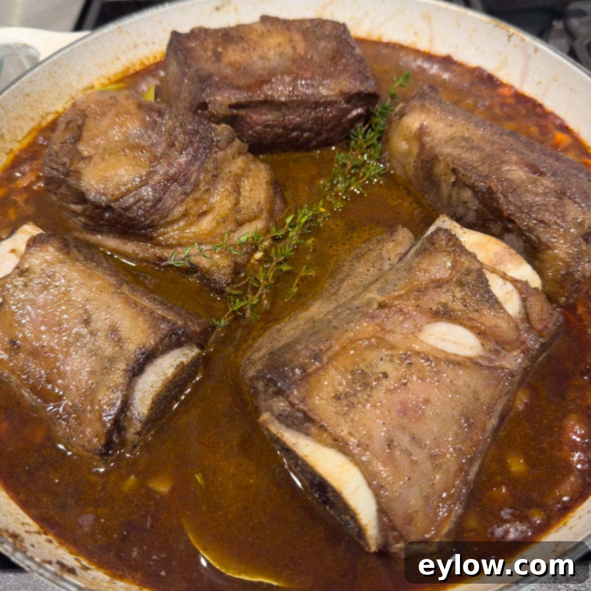 Browned bone-in beef short ribs in a pan of sauce ready for the oven.