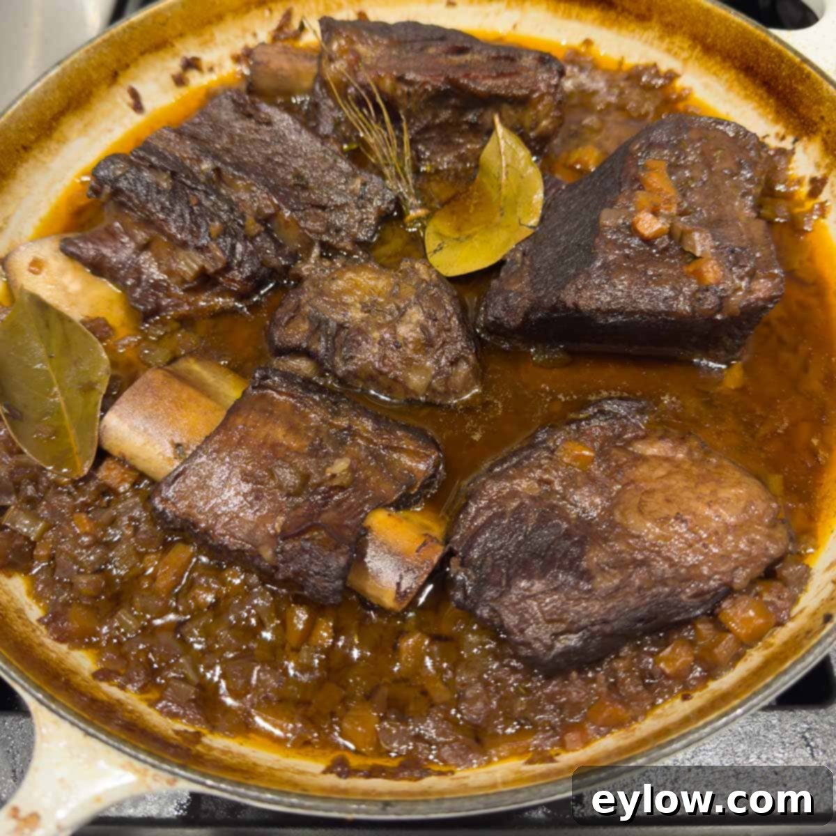 Dark brown braised beef ribs, some bones showing, in rich sauce.