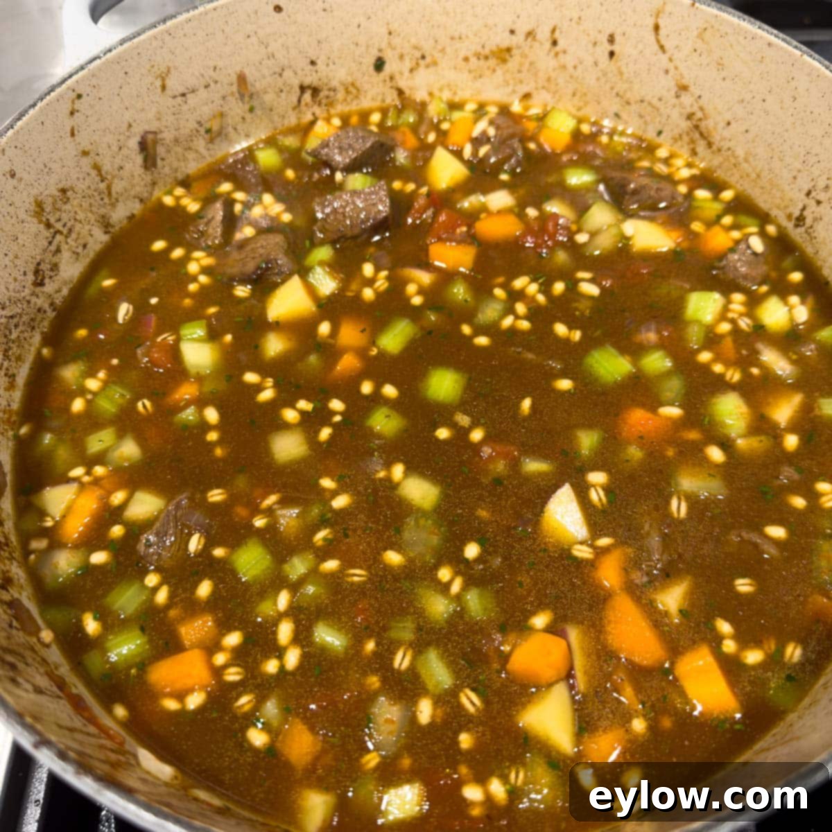 Hearty Beef, Barley & Vegetable Soup 11 All ingredients for beef barley soup submerged in broth, ready for simmering in a large pot.