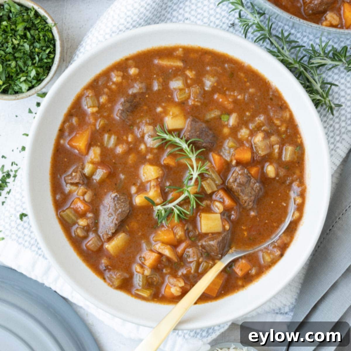 Hearty Beef, Barley & Vegetable Soup 12 The rich, deep colors of homemade beef barley soup presented in a white bowl, garnished with fresh herbs.