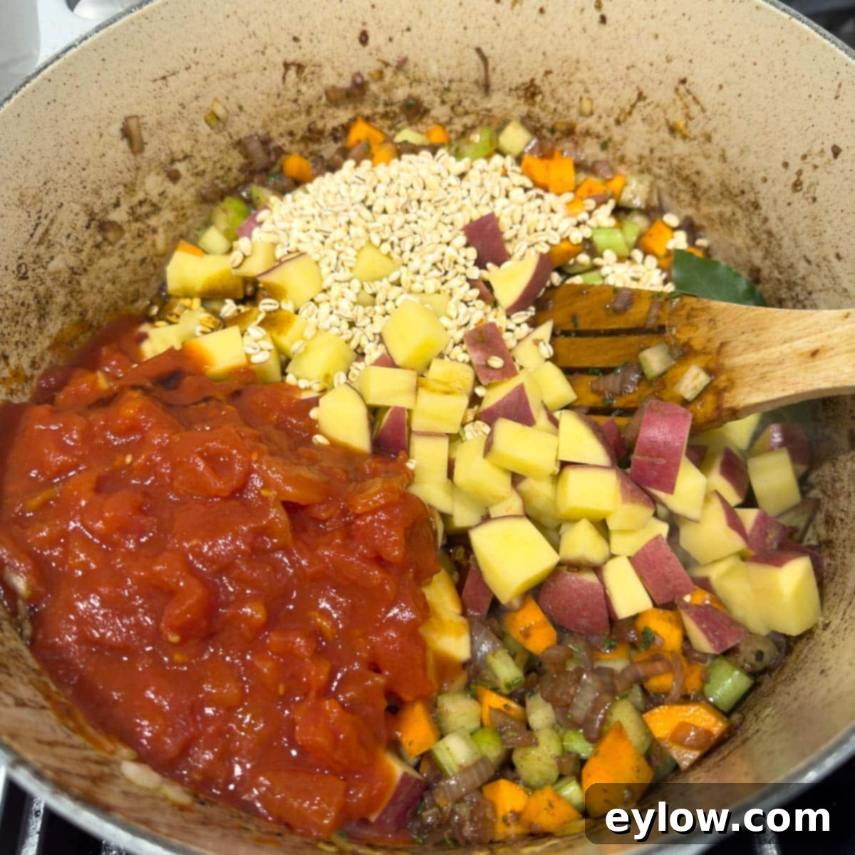 Hearty Beef, Barley & Vegetable Soup 9 All prepared ingredients for beef barley soup added to the pot and ready for stirring.