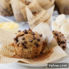 Gluten-free banana muffins generously studded with mini chocolate chips, neatly presented in tulip-style muffin papers.