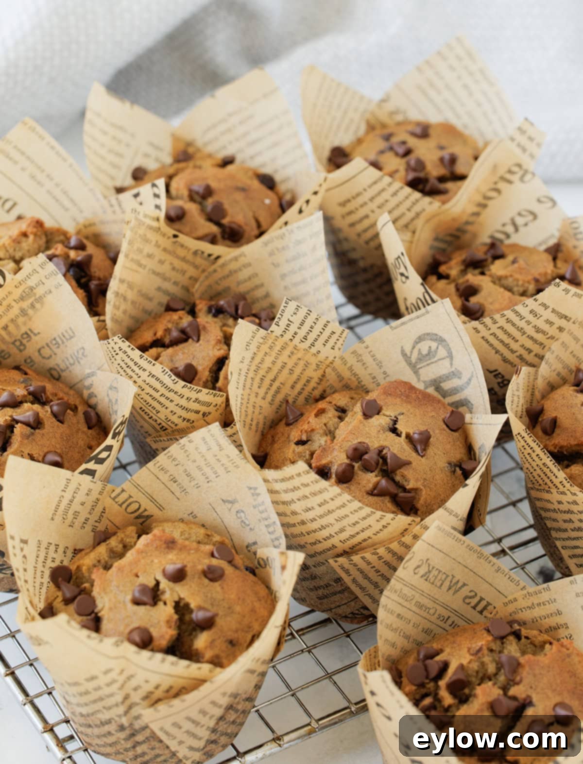 A beautifully arranged batch of golden-brown chocolate chip banana muffins, presented in elegant tulip baking papers, cooling on a wire rack.