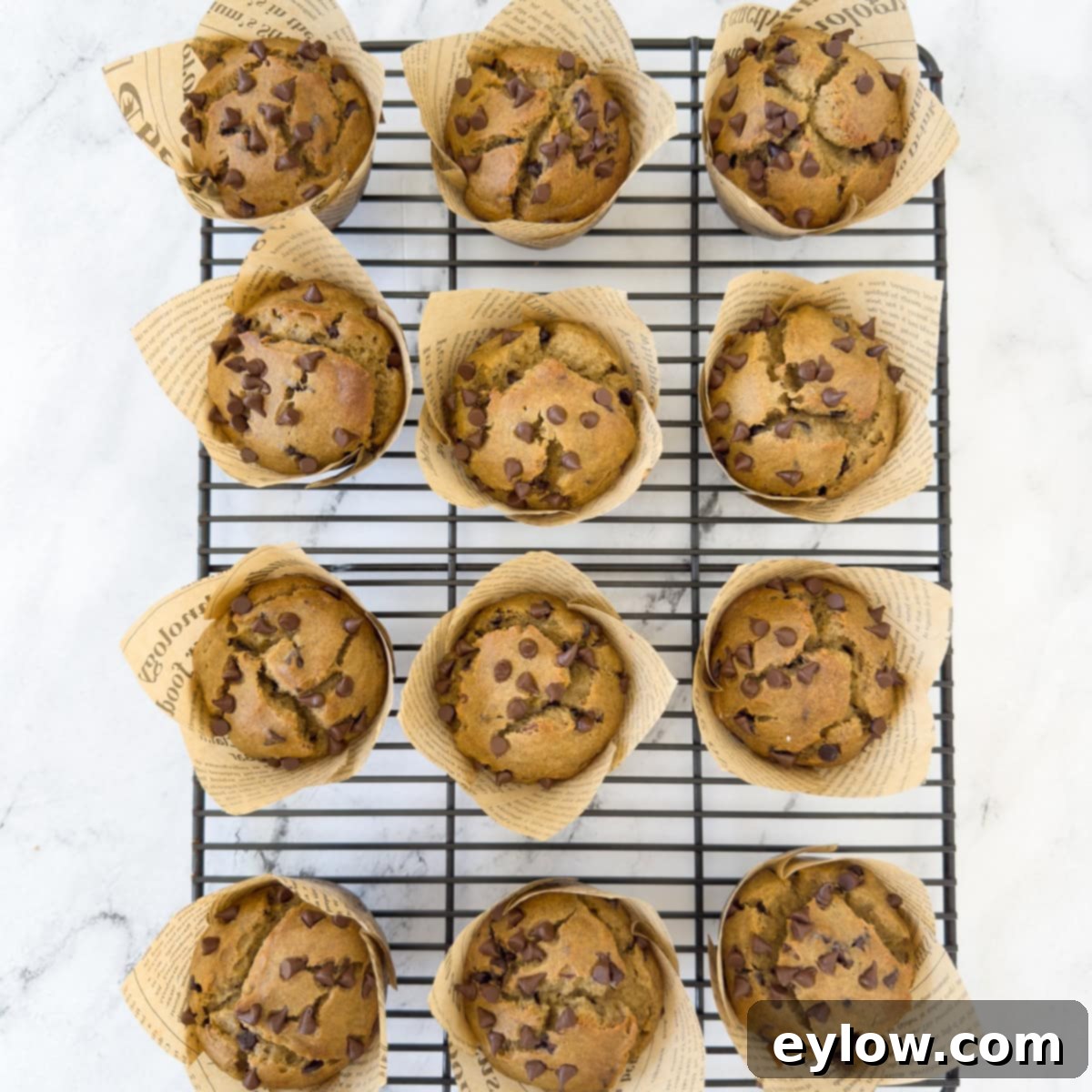 Freshly baked banana chocolate chip muffins cooling on a wire rack on a kitchen counter, having just come out of the oven.
