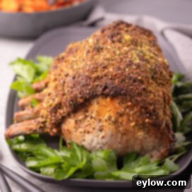 Pistachio-Encrusted Pork Rib Roast 10 A golden crusted pork rib roast on a gray platter with fresh green parsley.