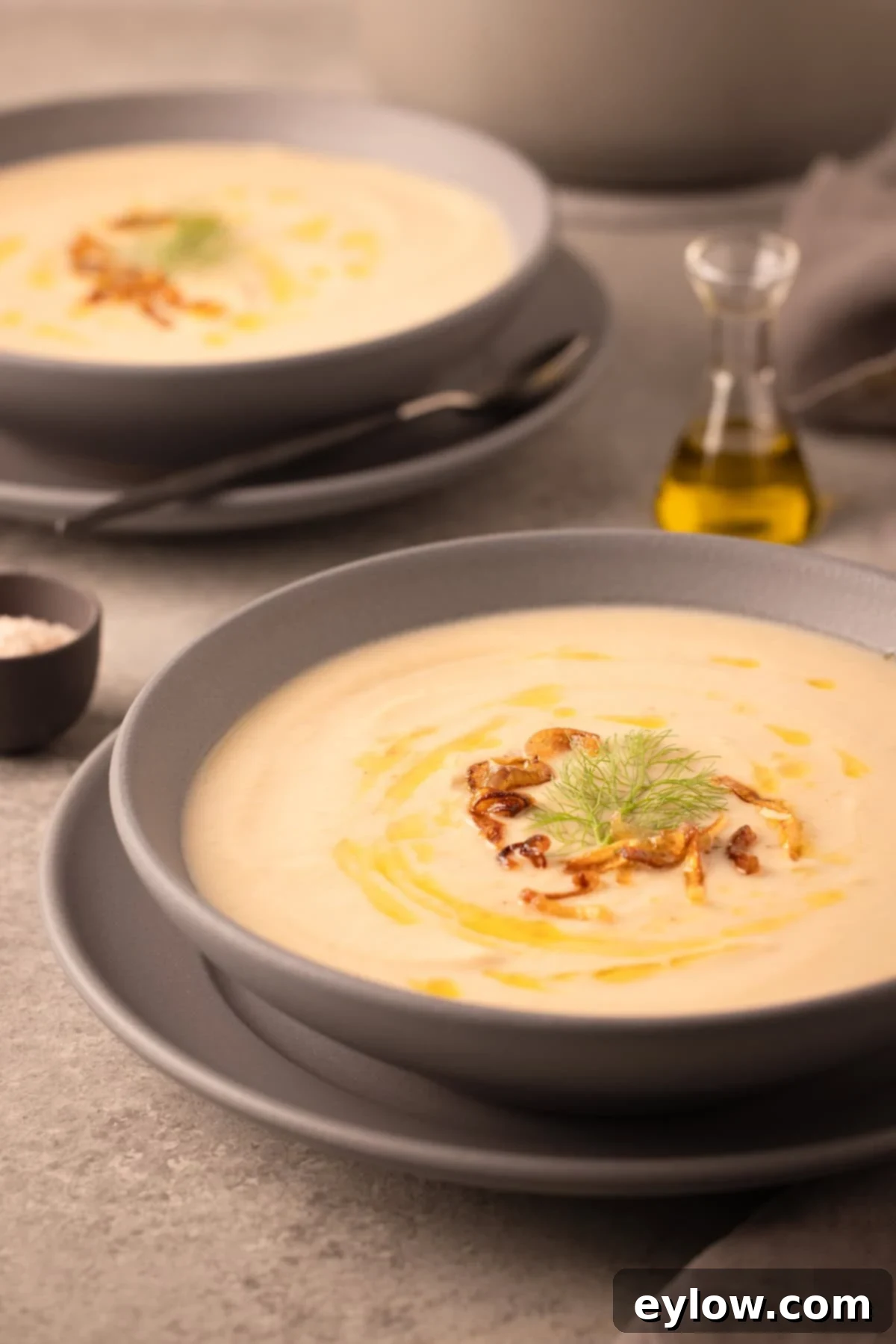 Velvety Fennel and White Bean Soup 2 A gray bowl of creamy pale fennel soup with fennel fronds and olive oil.