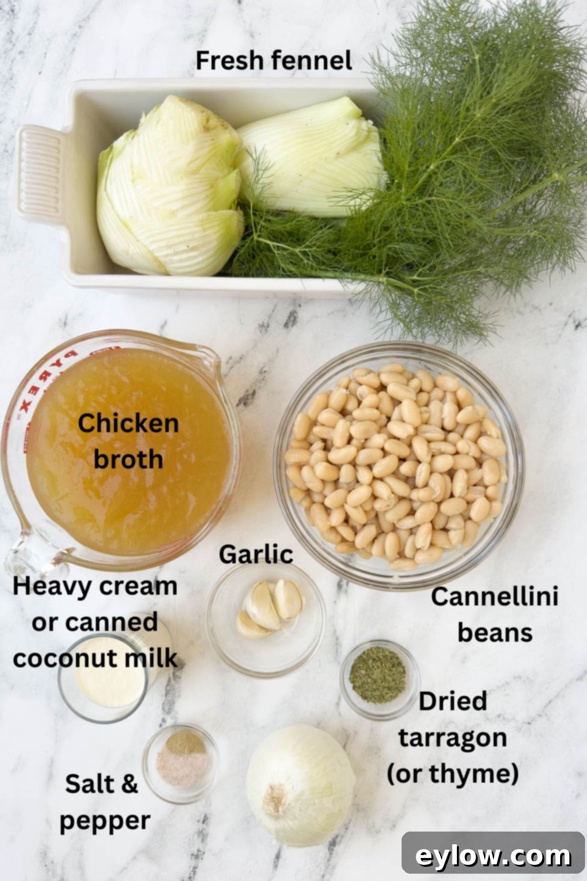 Velvety Fennel and White Bean Soup 3 Selection of ingredients for fennel soup: fennel bulbs, white onion, garlic, cannellini beans, broth, and herbs.