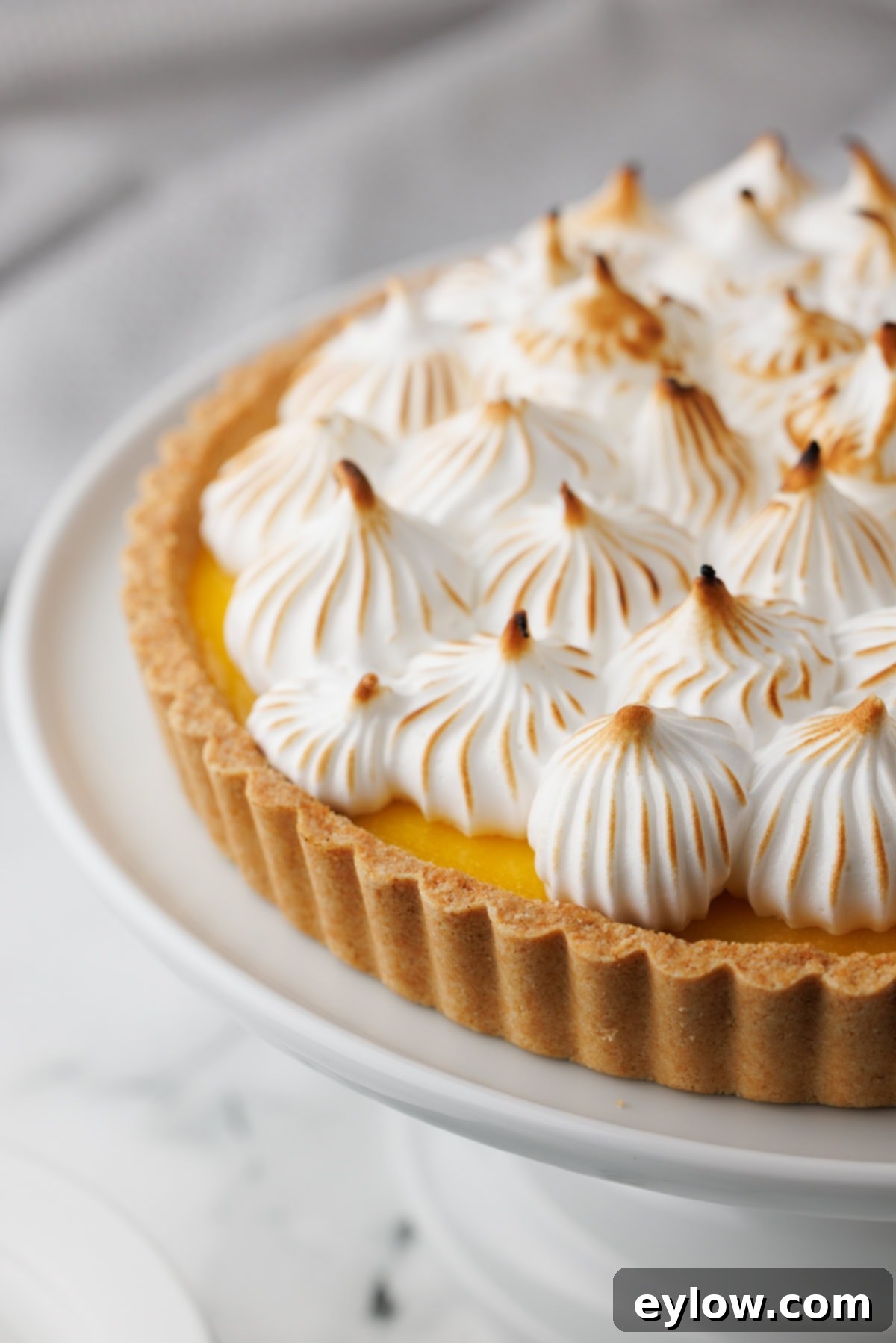 Zesty Lemon Meringue Tart 2 A lemon meringue tart with puffs of white piped meringue that's been torched, glistening golden brown.