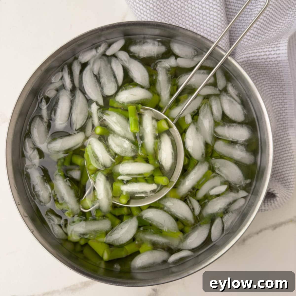 Cooked asparagus pieces chilling in an ice batch to preserve color and stop cooking.
