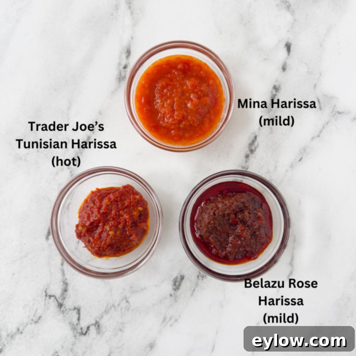 Three brands of red Harissa paste in small glass bowls to show differences.