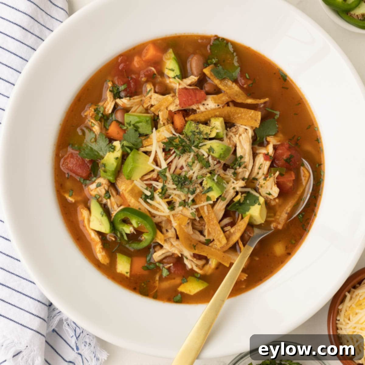 Close up of Mexican chicken soup in a white bowl, ready to eat with a spoon. 