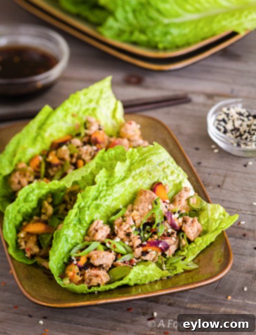 Flavorful Turkey Lettuce Wraps 4 Assembled Asian Ground Turkey Lettuce Wraps with dipping sauce