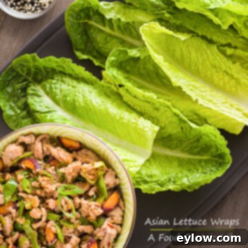 Flavorful Turkey Lettuce Wraps 5 Asian Turkey Lettuce Wraps for a healthy dinner