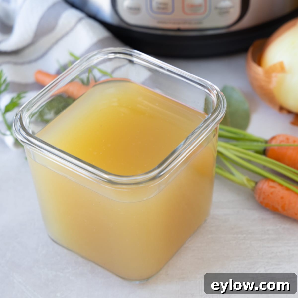 instant pot chicken broth