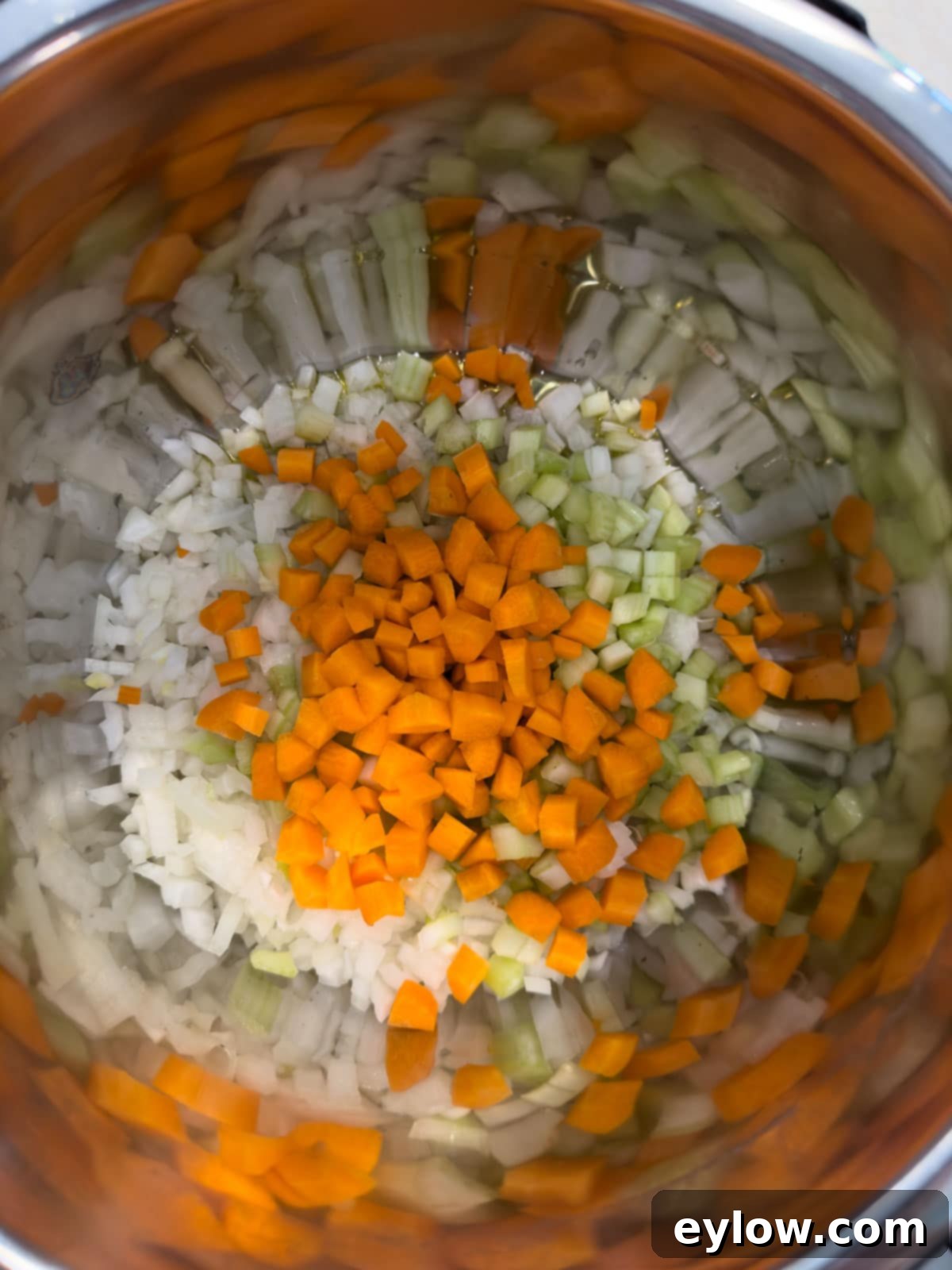 Carrot, onion, and celery in a pressure cooker for making soup.
