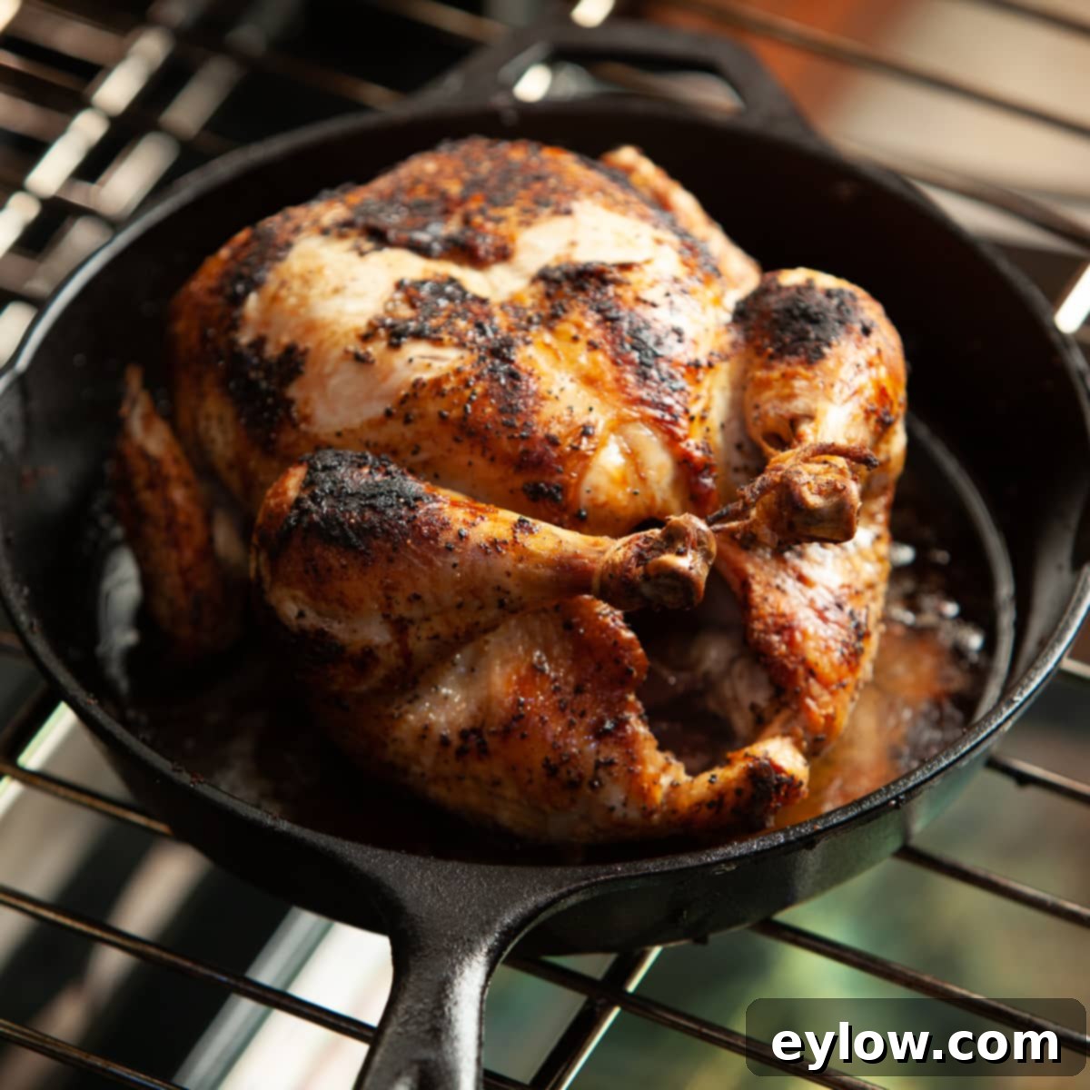 Crispy golden brown whole roast chicken in a cast iron skillet on an oven rack, ready to be served.